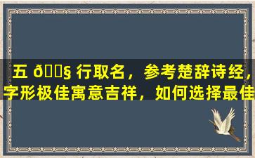五 🐧 行取名，参考楚辞诗经，字形极佳寓意吉祥，如何选择最佳名字
